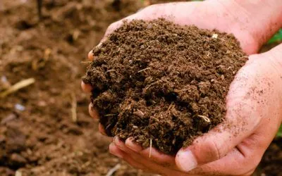 Un buen compost para el huerto urbano