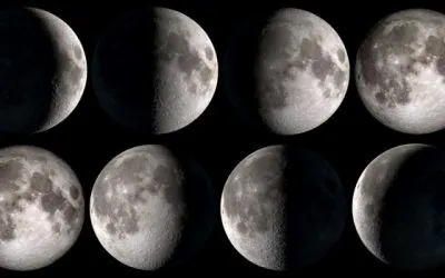 Tu huerto urbano según la luna