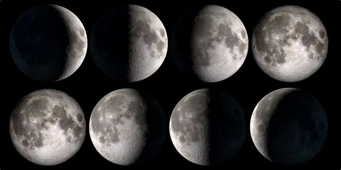 Tu huerto urbano según la luna